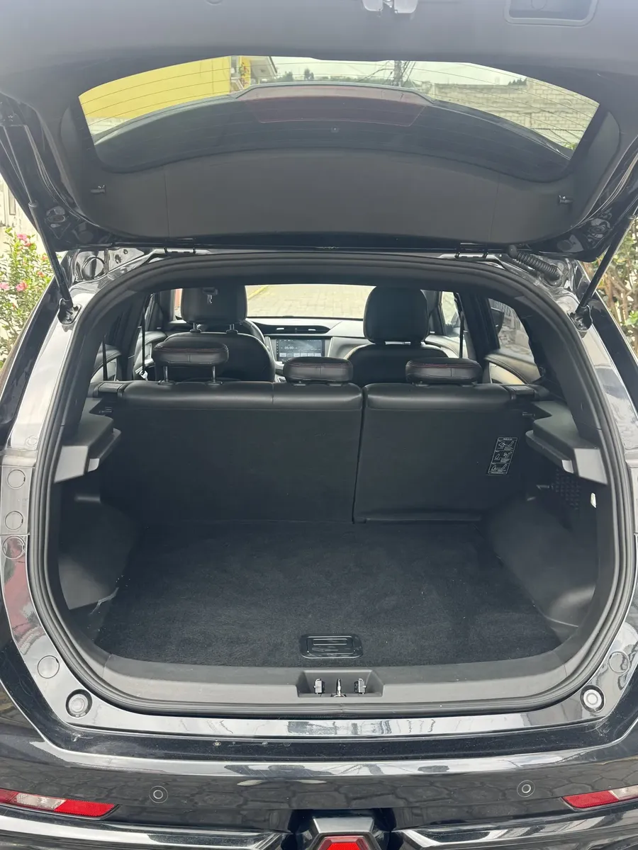 
								SWM G01F 2025 SUV: 1.5 Turbo Automatic, Spacious and Sporty full									